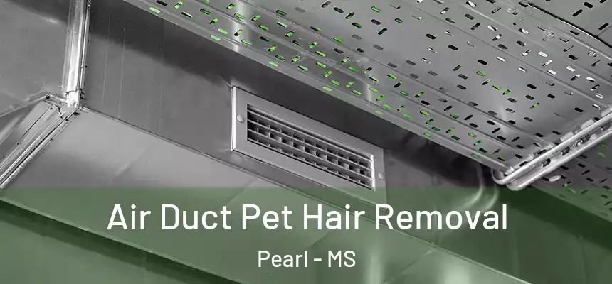  Air Duct Pet Hair Removal Pearl - MS