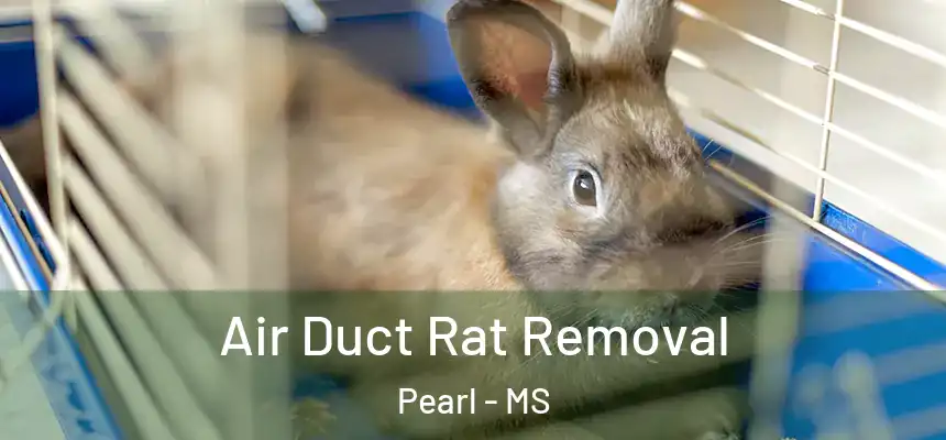  Air Duct Rat Removal Pearl - MS