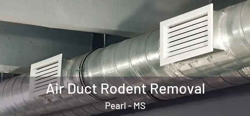  Air Duct Rodent Removal Pearl - MS