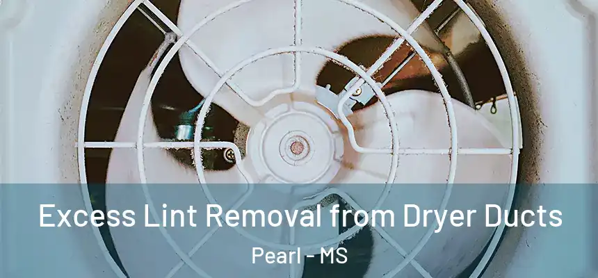  Excess Lint Removal from Dryer Ducts Pearl - MS