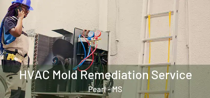  HVAC Mold Remediation Service Pearl - MS