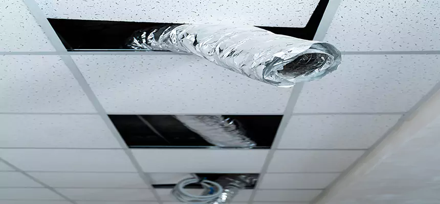 Our Air Duct Pet Hair Removal Services in Pearl, MS