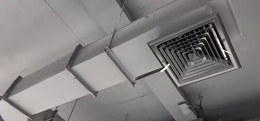 Our Pest Removal From Ducts Services in Pearl, MS