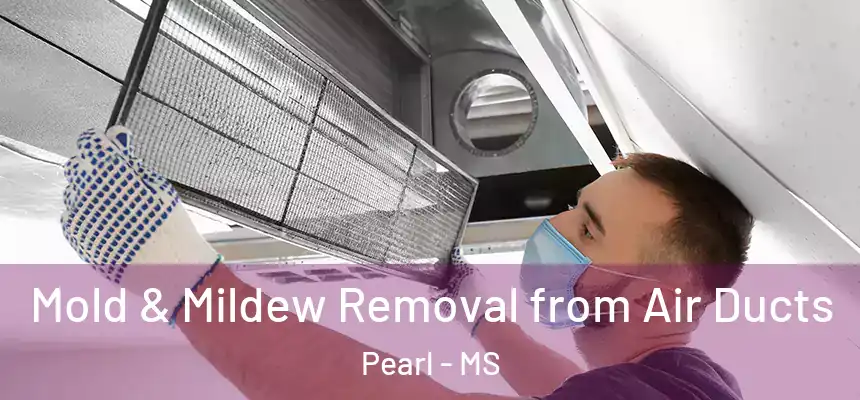  Mold & Mildew Removal from Air Ducts Pearl - MS