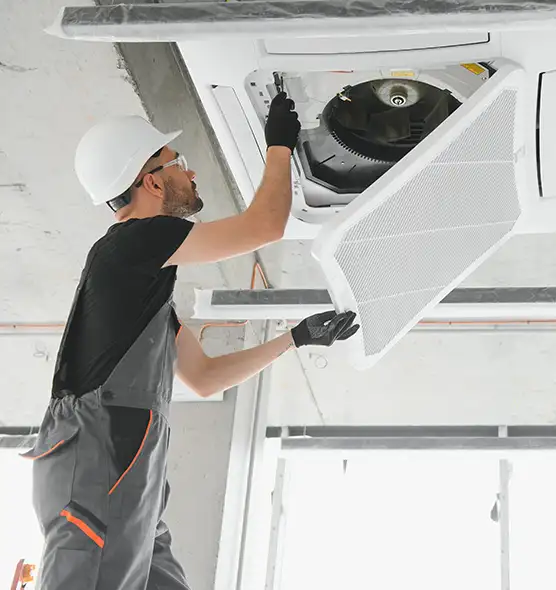 About Air Duct Rodent Removal in Pearl, MS