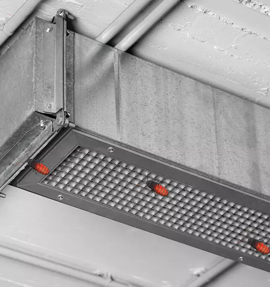 Affordable Insect Removal from Air Ducts in Pearl, MS