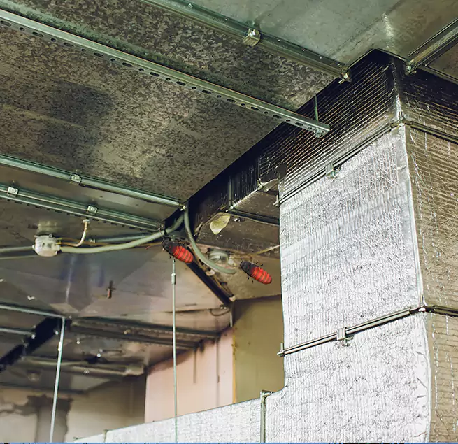 Why Homeowners & Businesses Trust Us in Pearl, MS?