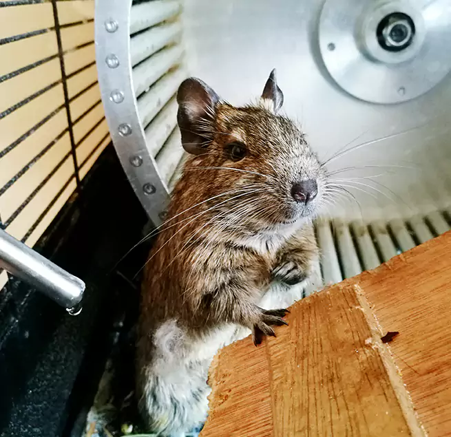 Why Homeowners & Businesses Trust Us Pearl, MS